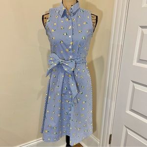 J. Crew Shirt Dress NWT